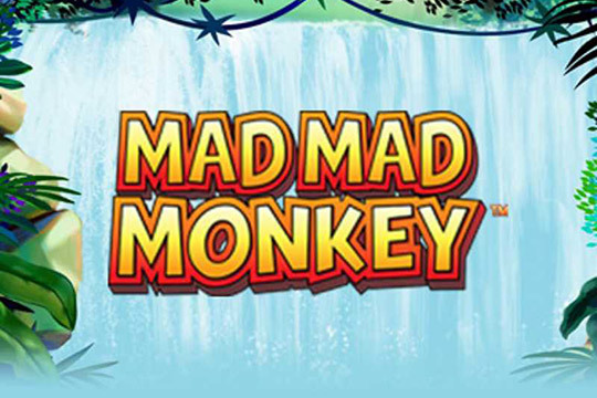 Mad Mad Monkey casino game