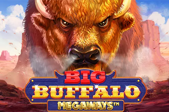 Big Buffalo Megaways gokautomaat met dieren thema